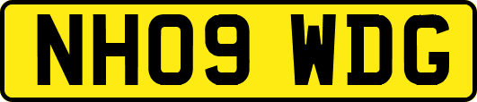 NH09WDG