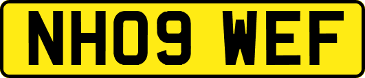 NH09WEF