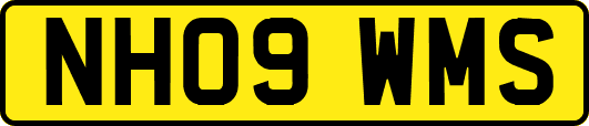 NH09WMS