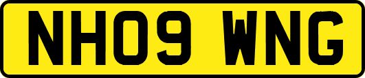 NH09WNG