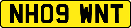 NH09WNT