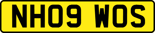 NH09WOS
