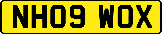 NH09WOX
