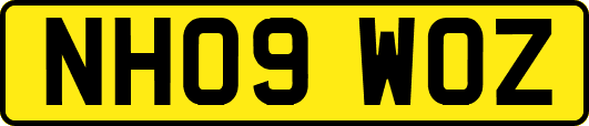 NH09WOZ