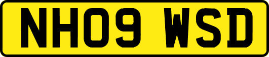 NH09WSD