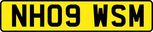 NH09WSM