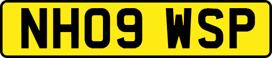 NH09WSP