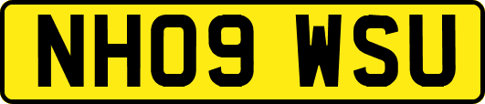 NH09WSU