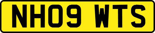 NH09WTS