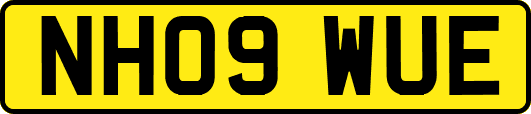 NH09WUE