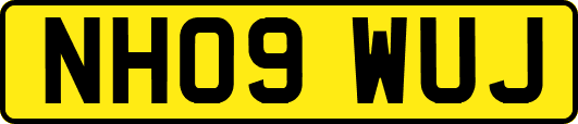 NH09WUJ