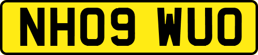 NH09WUO
