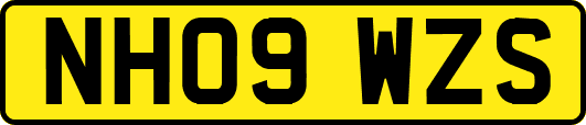 NH09WZS
