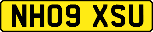 NH09XSU