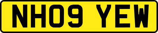 NH09YEW