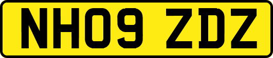 NH09ZDZ