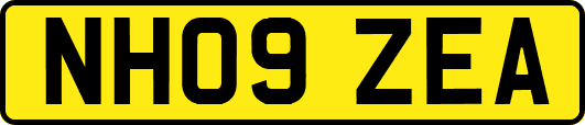 NH09ZEA