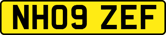 NH09ZEF