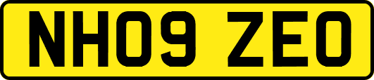 NH09ZEO
