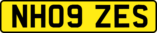 NH09ZES