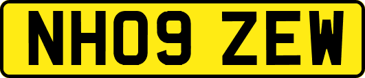 NH09ZEW