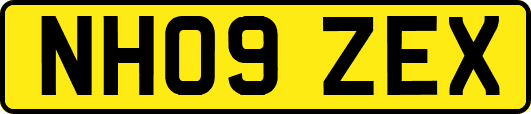NH09ZEX