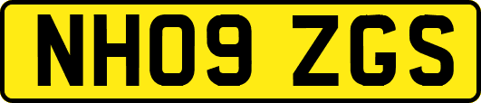 NH09ZGS