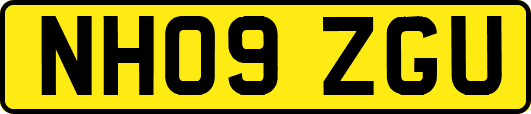 NH09ZGU