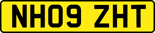 NH09ZHT