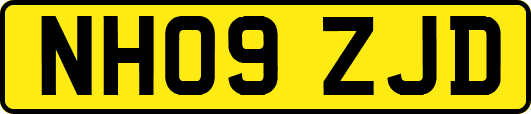 NH09ZJD