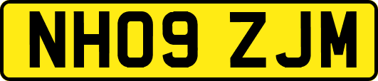 NH09ZJM