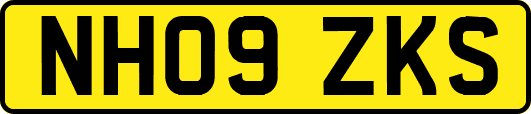 NH09ZKS