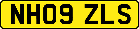 NH09ZLS