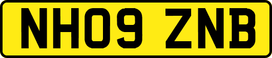 NH09ZNB