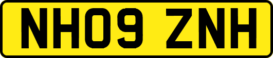 NH09ZNH