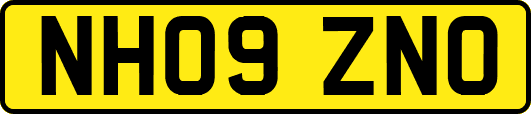 NH09ZNO