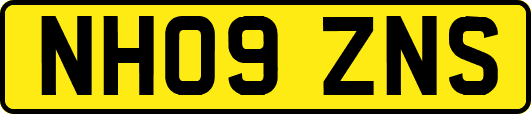 NH09ZNS