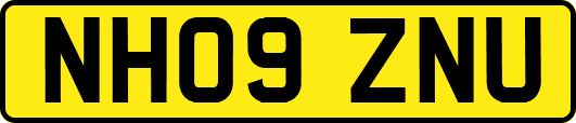 NH09ZNU