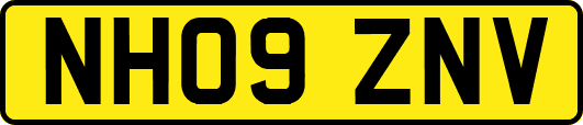 NH09ZNV
