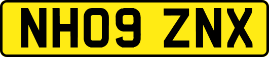 NH09ZNX