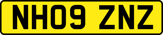 NH09ZNZ