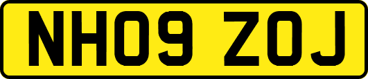 NH09ZOJ