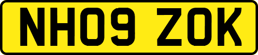 NH09ZOK