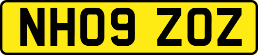 NH09ZOZ