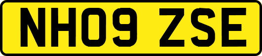 NH09ZSE