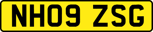 NH09ZSG