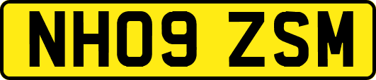 NH09ZSM