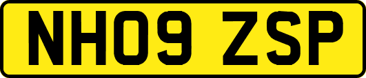 NH09ZSP
