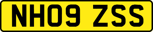 NH09ZSS