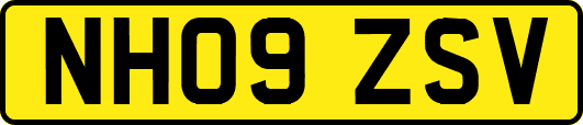 NH09ZSV